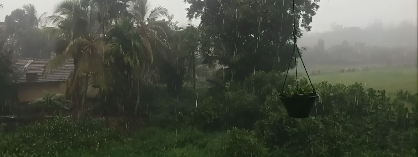 Rain To Return After Brief Pause